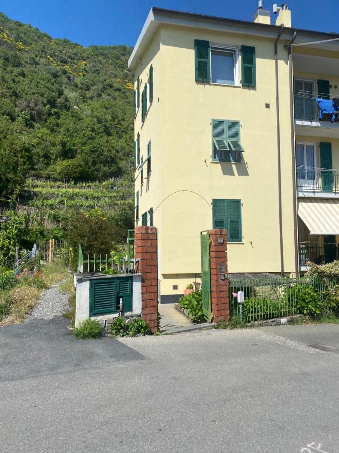 Ferienwohnung Passito Rosso Corniglia Exterior foto